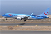 Miguel A. gueda Rguez.  (CANARY ISLANDS SPOTTING). Click to see full size photo