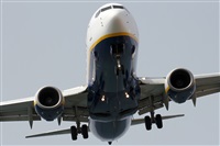 Adrin Alonso Lemes - Lanzarote Spotters. Click to see full size photo