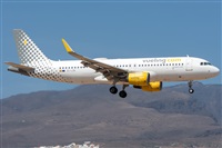 ©Adolfo Bento - Gran Canaria Spotters. Click to see full size photo ©Adolfo Bento - Gran Canaria Spotters. Click to see full size photo