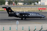 ©Alfonso Solís - Asociación Canary Islands Spotting. Click to see full size photo ©Alfonso Solís - Asociación Canary Islands Spotting. Click to see full size photo