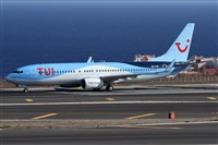 Alfonso Sols - Asociacin Canary Islands Spotting. Click to see full size photo