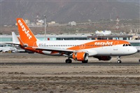 Alfonso Sols - Asociacin Canary Islands Spotting. Click to see full size photo