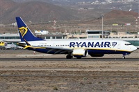 Alfonso Sols - Asociacin Canary Islands Spotting. Click to see full size photo