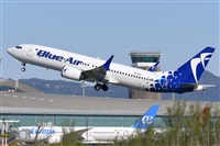 Miguel A. gueda Rguez.  (CANARY ISLANDS SPOTTING). Click to see full size photo