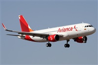 Alfonso Sols - Asociacin Canary Islands Spotting. Click to see full size photo