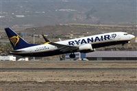 Alfonso Sols - Asociacin Canary Islands Spotting. Haz click para ampliar