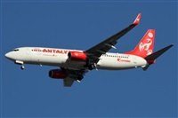 ©Alfonso Solís - Asociación Canary Islands Spotting. Click to see full size photo ©Alfonso Solís - Asociación Canary Islands Spotting. Click to see full size photo