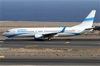 ©Alfonso Solís - Asociación Canary Islands Spotting. Click to see full size photo ©Alfonso Solís - Asociación Canary Islands Spotting. Click to see full size photo