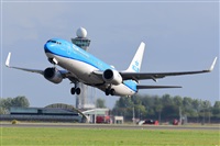 Miguel A. gueda Rguez.  (CANARY ISLANDS SPOTTING). Click to see full size photo