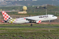Miguel A. gueda Rguez.  (CANARY ISLANDS SPOTTING). Click to see full size photo