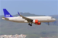 Miguel A. gueda Rguez.  (CANARY ISLANDS SPOTTING). Click to see full size photo