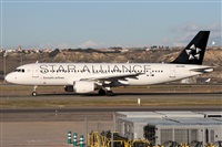 Alfonso Sols - Asociacin Canary Islands Spotting. Click to see full size photo