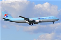 Miguel A. gueda Rguez.  (CANARY ISLANDS SPOTTING). Click to see full size photo