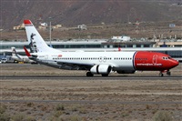 Alfonso Sols - Asociacin Canary Islands Spotting. Click to see full size photo
