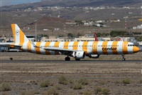 ©Alfonso Solís - Asociación Canary Islands Spotting. Click to see full size photo ©Alfonso Solís - Asociación Canary Islands Spotting. Click to see full size photo