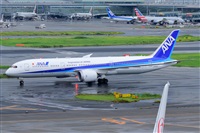 Miguel A. gueda Rguez.  (CANARY ISLANDS SPOTTING). Click to see full size photo