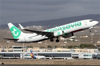 ©Alfonso Solís - Asociación Canary Islands Spotting. Click to see full size photo ©Alfonso Solís - Asociación Canary Islands Spotting. Click to see full size photo