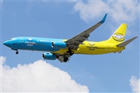 La Roche Spotters. Click to see full size photo