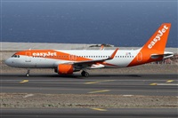 ©Alfonso Solís - Asociación Canary Islands Spotting. Click to see full size photo ©Alfonso Solís - Asociación Canary Islands Spotting. Click to see full size photo
