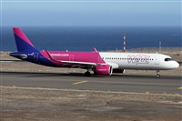 ©Alfonso Solís - Asociación Canary Islands Spotting. Click to see full size photo ©Alfonso Solís - Asociación Canary Islands Spotting. Click to see full size photo