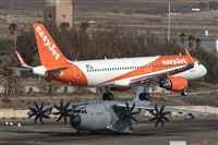 ©Adolfo Bento - Gran Canaria Spotters. Click to see full size photo ©Adolfo Bento - Gran Canaria Spotters. Click to see full size photo