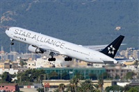 Toni Marimon. Click to see full size photo