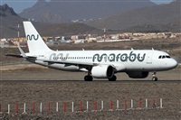 Alfonso Sols - Asociacin Canary Islands Spotting. Click to see full size photo