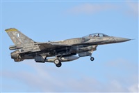 �Vicente Aguil�. Click to see full size photo