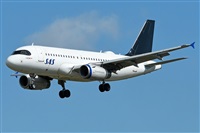 �Sergio Gonz�lez. Click to see full size photo