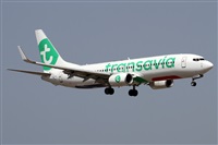 ©Alfonso Solís - Asociación Canary Islands Spotting. Click to see full size photo ©Alfonso Solís - Asociación Canary Islands Spotting. Click to see full size photo