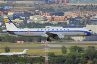 �Miguel A. �gueda Rguez.  (CANARY ISLANDS SPOTTING). Click to see full size photo