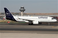 ©Alfonso Solís - Asociación Canary Islands Spotting. Click to see full size photo ©Alfonso Solís - Asociación Canary Islands Spotting. Click to see full size photo