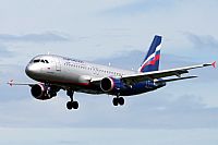 Jos Miguel Bernases - Noisy Spotters. Click to see full size photo