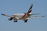 ©José Miguel Bernases - Noisy Spotters. Click to see full size photo ©José Miguel Bernases - Noisy Spotters. Click to see full size photo