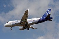 Jos Miguel Bernases - Noisy Spotters. Click to see full size photo