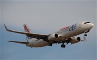 Rubn Gil - Noisy Spotters. Click to see full size photo