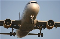 Jos Miguel Bernases - Noisy Spotters. Click to see full size photo