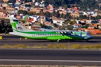 Javier de la Cruz - CANARY ISLANDS SPOTTING. Click to see full size photo