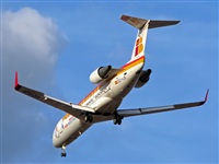 ©La Roche Spotters. Click to see full size photo ©La Roche Spotters. Click to see full size photo