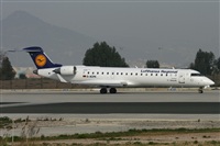 Jos Miguel Bernases - Noisy Spotters. Click to see full size photo
