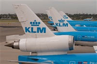 ©Rodrigo Carvalho - Noisy Spotters. Click to see full size photo ©Rodrigo Carvalho - Noisy Spotters. Click to see full size photo
