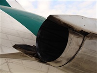 Thas Cencillo - Costa Brava spotters. Click to see full size photo