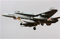 Javier G.M.. Click to see full size photo