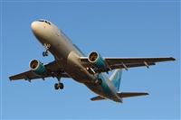Rodrigo Carvalho - Noisy Spotters. Click to see full size photo