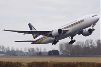 Jos Miguel Bernases - Noisy Spotters. Click to see full size photo
