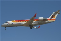 Adrin Alonso Lemes - Lanzarote Spotters. Haz click para ampliar