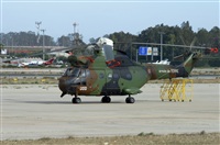 Richard Sanchez Gibelin. Click to see full size photo