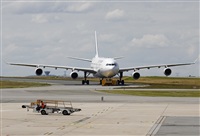 Jos Miguel Bernases - Noisy Spotters. Click to see full size photo