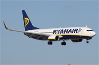 Alfonso Sols - Asociacin Canary Islands Spotting. Click to see full size photo