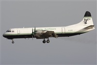 Ayoze Santana Mendez - Canary Islands Spotting. Click to see full size photo